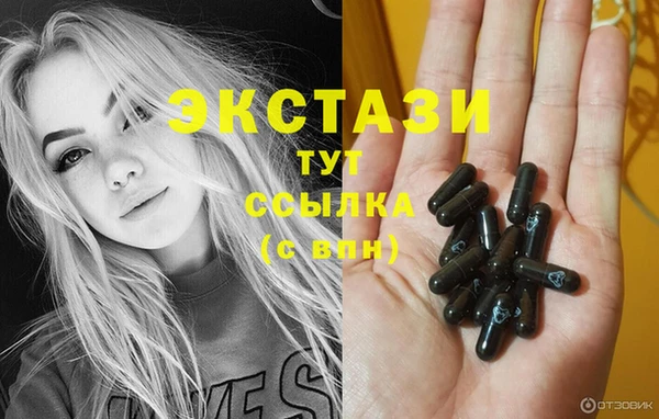 2c-b Бородино