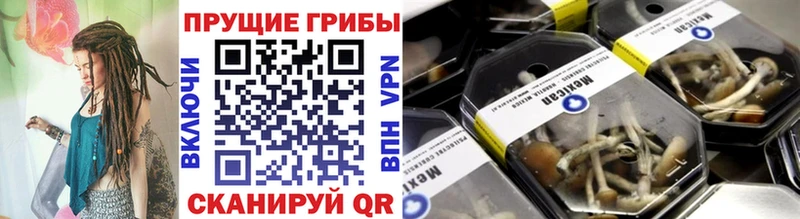 Псилоцибиновые грибы мухоморы  Тамбов 